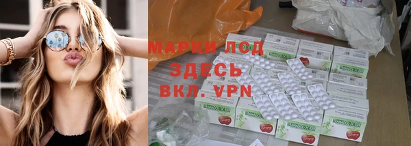 прущие грибы Каменск-Шахтинский