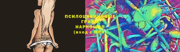 прущие грибы Каменск-Шахтинский
