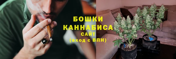 экстази Каменка