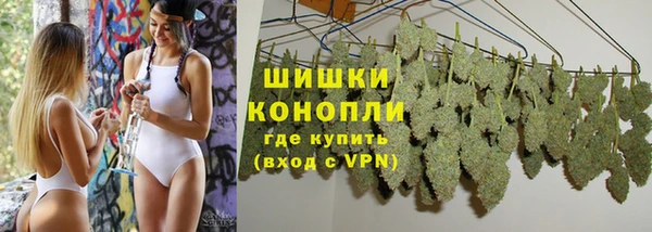прущие грибы Каменск-Шахтинский