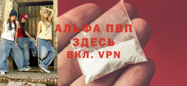 прущие грибы Каменск-Шахтинский