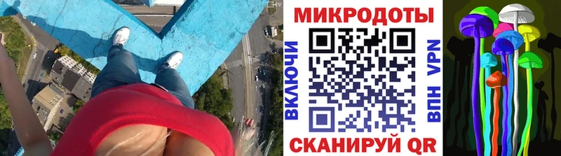 Купить  Пойковский  Галлюциногенные грибы Cubensis 